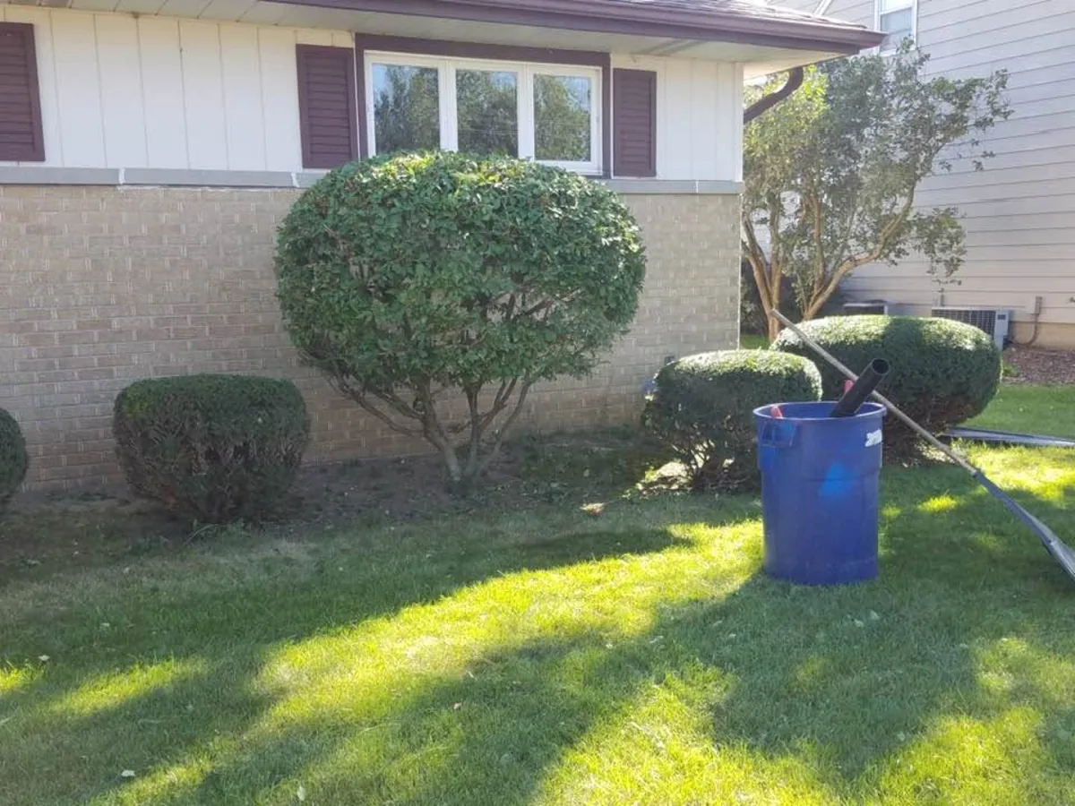 Trimmed bushes and a small tree in a front yard with cleanup tools nearby