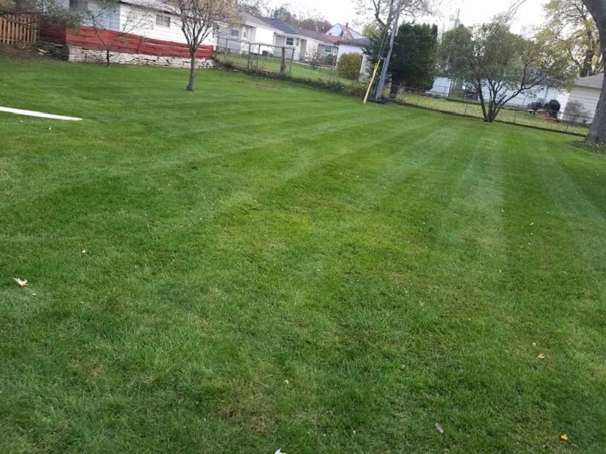 Freshly mowed backyard lawn with visible mow lines