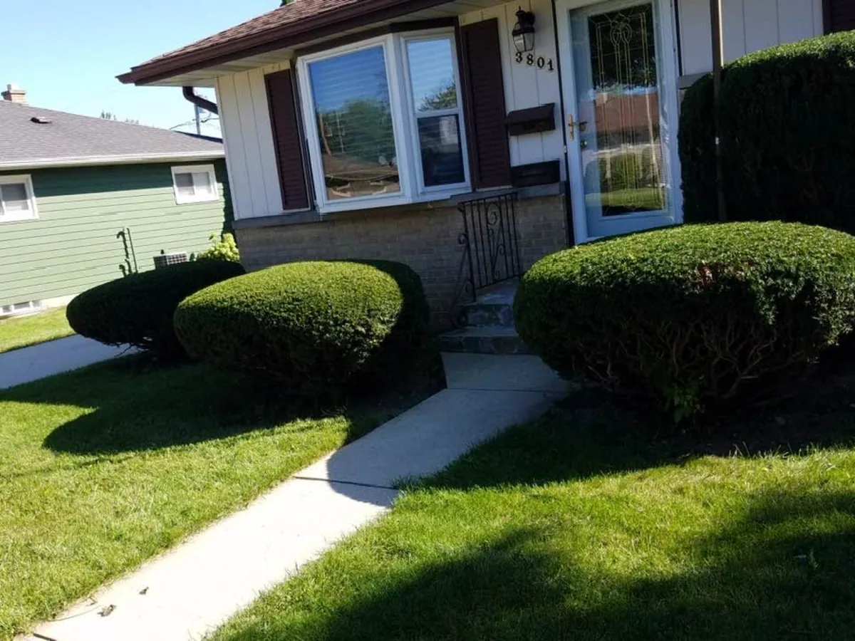 Row of trimmed bushes along the front walkway of a home