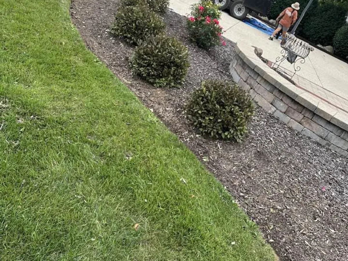 Curved mulch bed with shrubs beside a block retaining wall